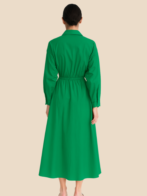 Karina | Women’s Collared Shirt Dress