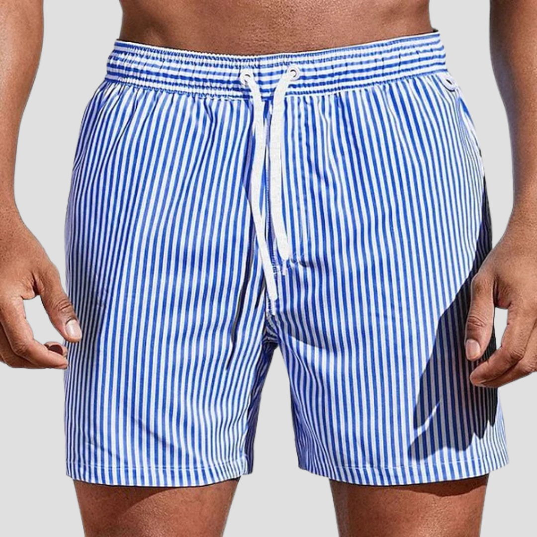 Dravien | Men’s Striped Swim Shorts